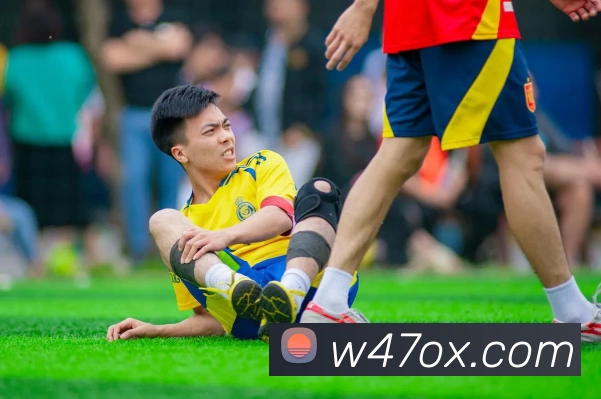 多媒体互动体验